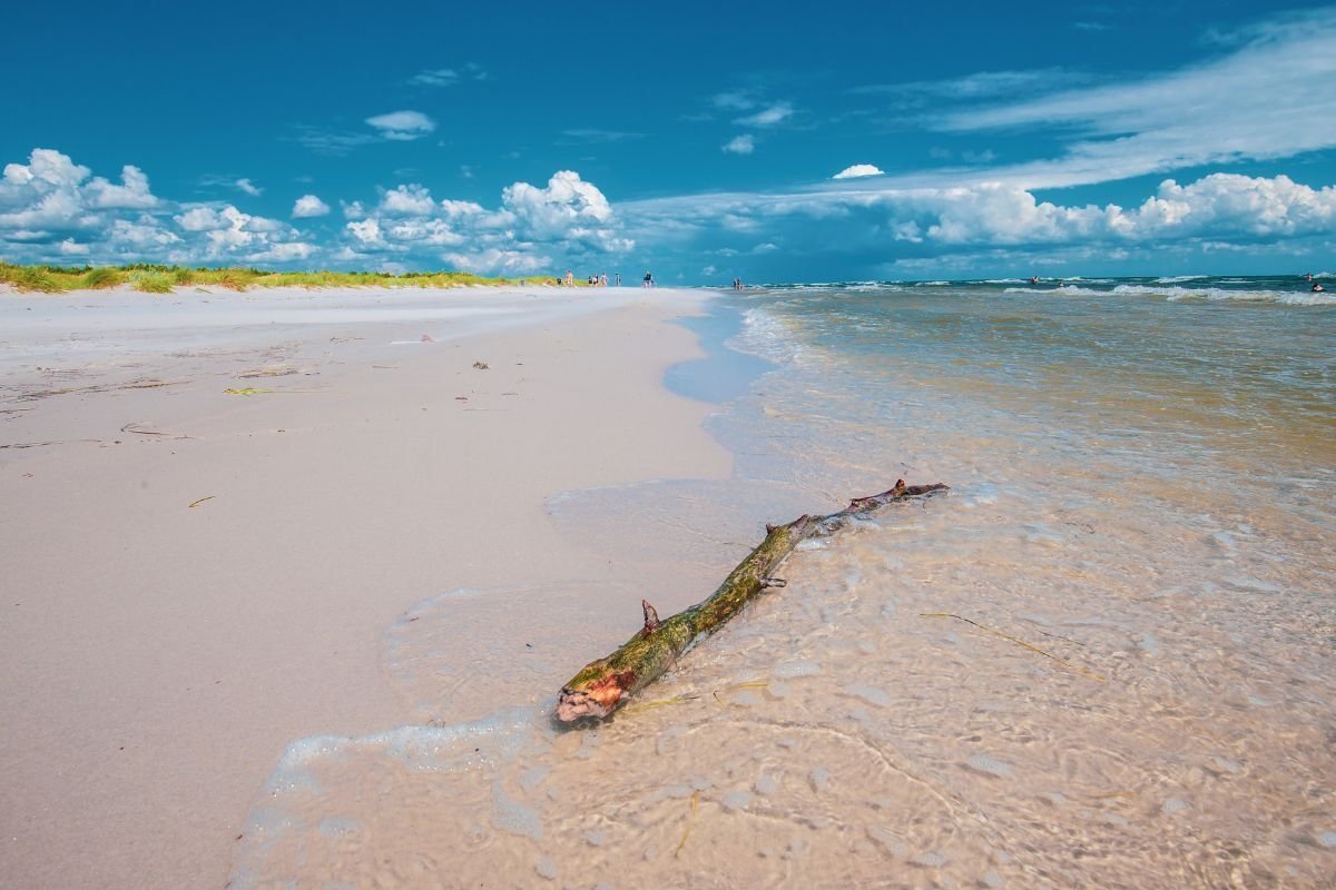 The white sand of Dueodde beach on Bornholm